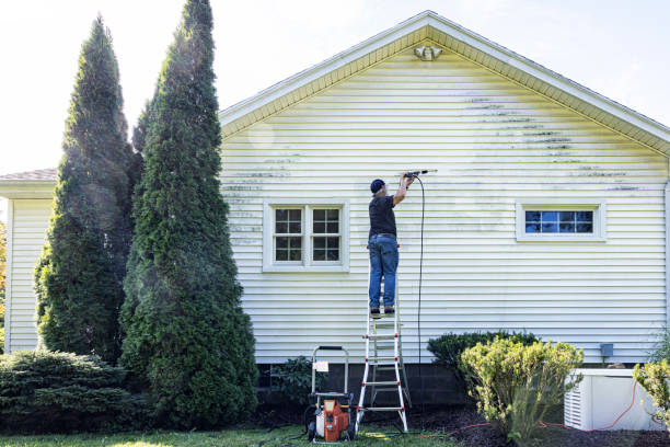 Best Animal Enclosure Cleaning  in Howard City, MI